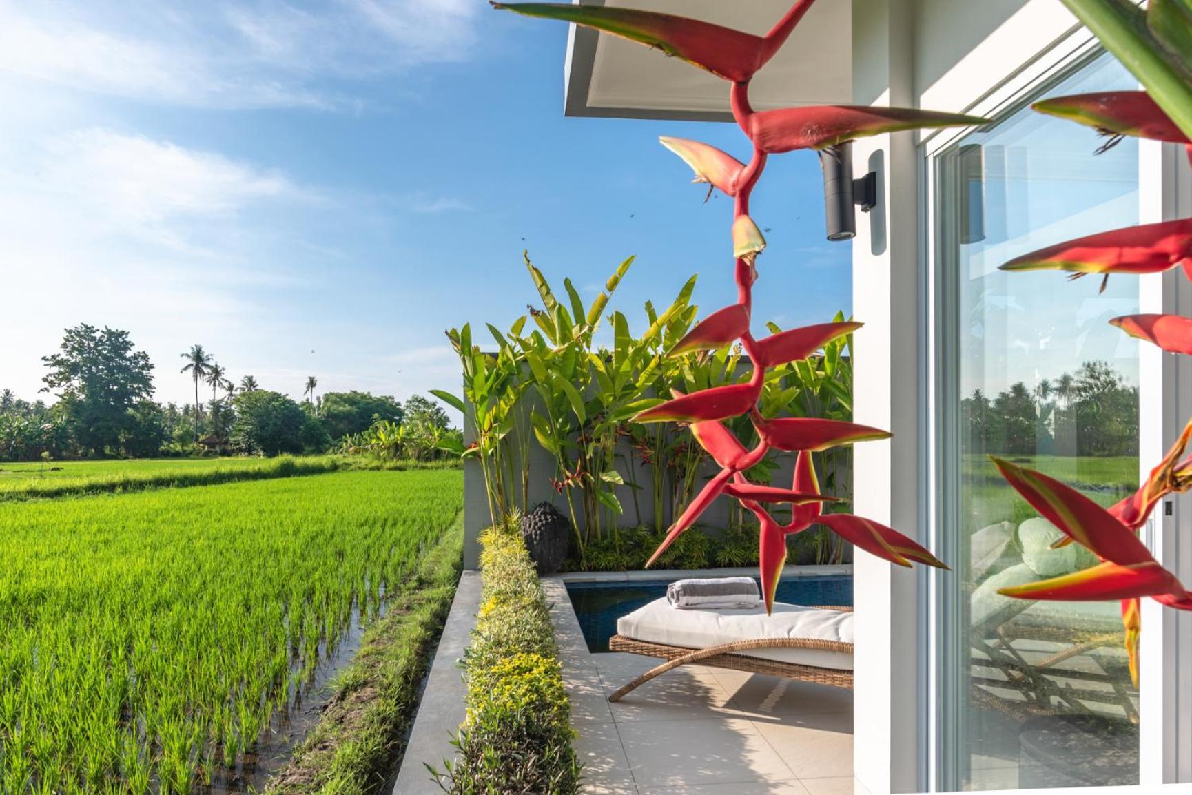 Villa Shiva โลวินา ภายนอก รูปภาพ