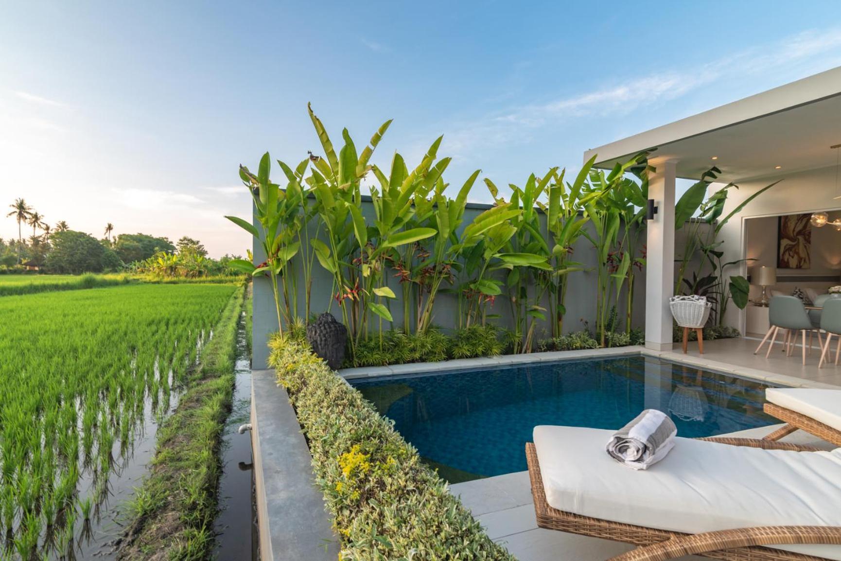 Villa Shiva โลวินา ภายนอก รูปภาพ